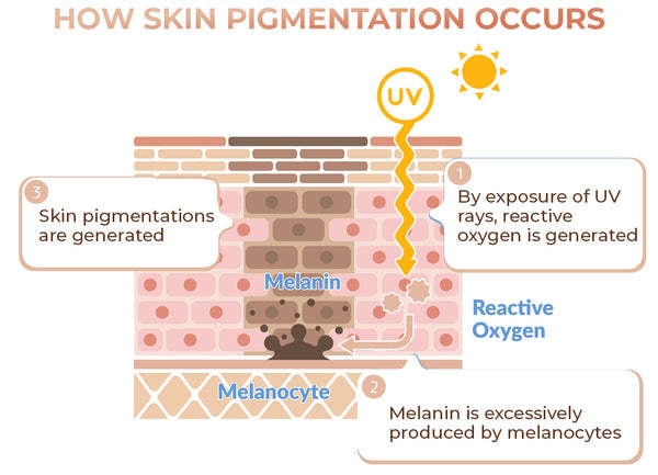 Due Care Super Glow Face Melanin Correcting Facial Serum for all skin types boost collagen production and reduce fine lines & wrinkles